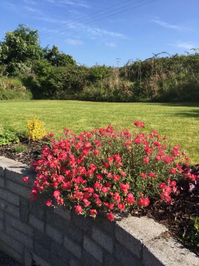 Viewmount Bed and Breakfast Thomastown  Exteriör bild